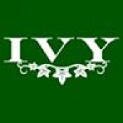 IVY (0)