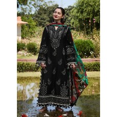 Hussain Rehar SS Lawn Collection - 2024 – Rave