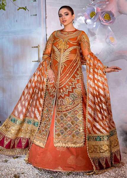 Shiza hassan bridal outlet dresses