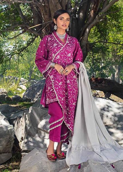 Gul Ahmed Winter Collection - 2022 - AP-12031