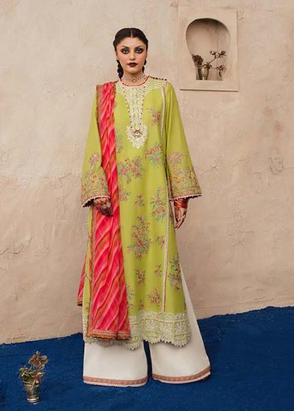 Hussain Rehar Majlal Stitched Lawn Collection - 2023 – Jal Pari